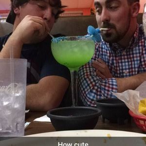 Meet your Posher, Sammy